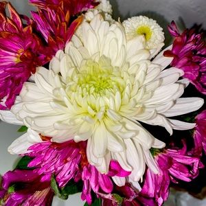 FEEL FREE TO MAKE OFFERS! ❤️